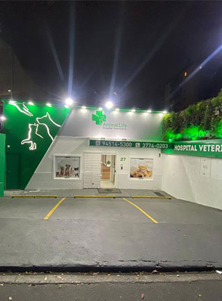 Hospital Veterinário 24h no Morumbi 