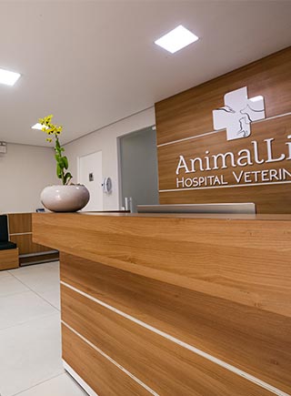 Hospital Veterinário 24h no Morumbi 